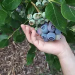 Daire Og Alte Stadtmuehle Direkt An Der Flaemingskate