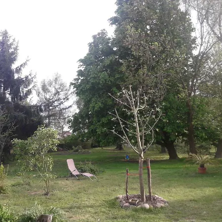 Og Alte Stadtmühle Direkt An Der Flämingskate Apartment