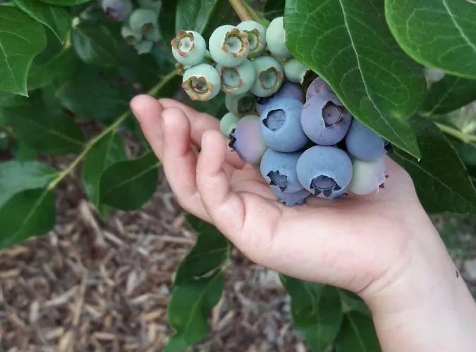Apartament Og Alte Stadtmuehle Direkt An Der Flaemingskate