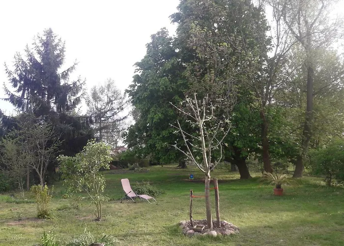 Og Alte Stadtmuehle Direkt An Der Flaemingskate شقة